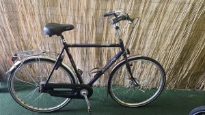 Gazelle orange 2335