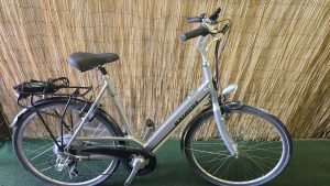 Batavus Fuerza Easy 2344