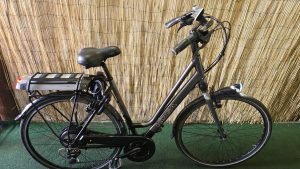 Koga E-Deluxe 2347