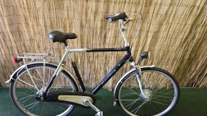 Gazelle Orange 2349