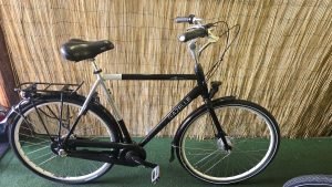 Gazelle paris Pure 2367