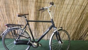 Gazelle Orange plus 2369
