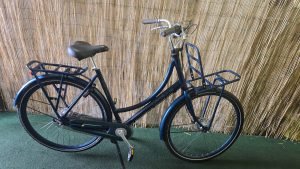 Batavus Diva 2384