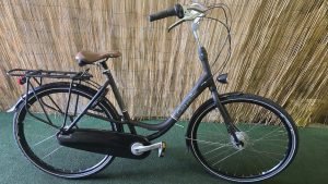 Gazelle Bloom C7 2385