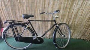 Gazelle populair 2390