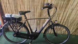 Gazelle Orange C7+ HMB 2402