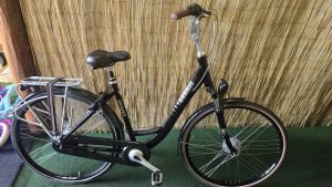 Giant Ultimo 2410
