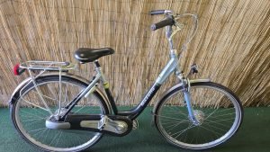 Gazelle Orange 2415