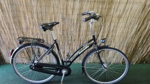 Gazelle Avignon 2416