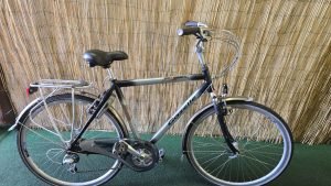 Gazelle Medeo 2419