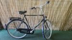 Gazelle Avignon 2424