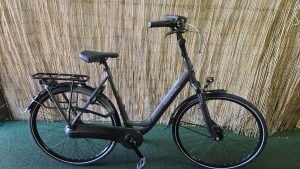 Gazelle Orange C7 2437
