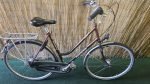Batavus Legato 2482