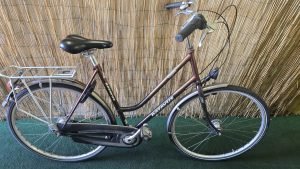 Batavus Legato 2482