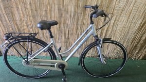 Trek L300 2486