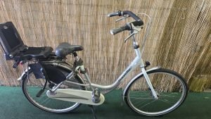 Gazelle Bloom 2489