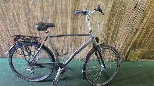 Gazelle Fuente 2492