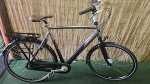 Gazelle orange C8 2501