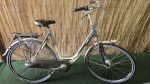 Gazelle Orange 2502