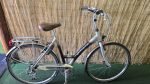 Gazelle Riacha 2511