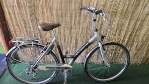 Gazelle Riacha 2511