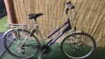 Batavus ShoShone 2512
