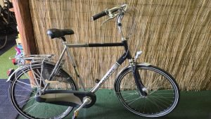 Batavus Intermezzo 2516