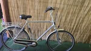 Batavus Fuego 2521