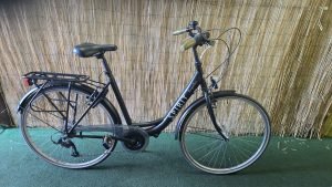 Spirit Regular 2523