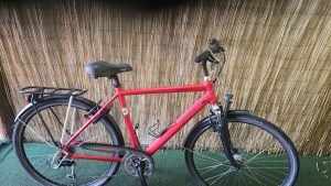 Batavus Zonar 2525
