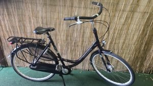 Gazelle Bloom 2530