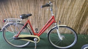 Gazelle Punta 2534