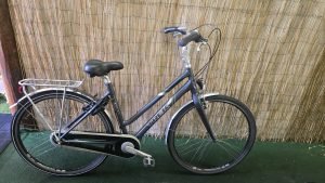 trek L500SL 2542