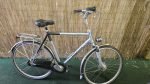 Gazelle Orange 2551