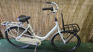 Gazelle Bloom C7 2552
