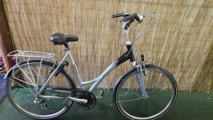 Batavus Alamo 2555