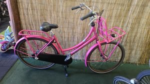 Cortina Lief transport 2559
