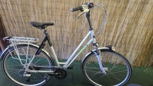 Gazelle Allure 2560