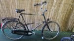Gazelle Solide 2566