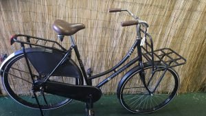 Reflection move omafiets 2568
