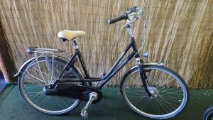 Gazelle Davos 2569