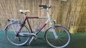 Gazelle Geneve 2579