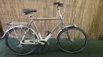 Gazelle Murcia 2598