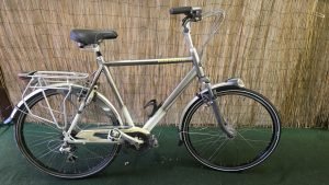 Gazelle Murcia 2598