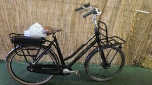 Gazelle Miss Grace C7 2616