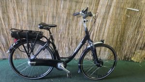 Gazelle orange C7+ 2617