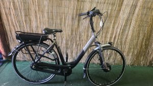 gazelle orange C7+ 2618
