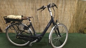 Gazelle orange C7+ HMB 2628