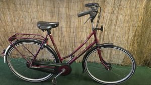 Gazelle Free 2634