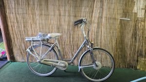 Batavus Monaco 2640